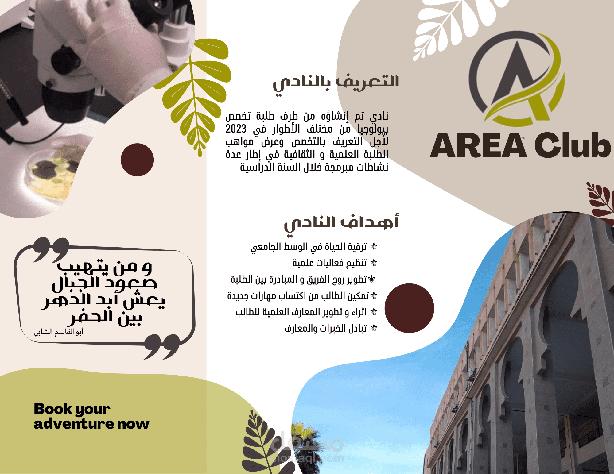 Brochure مطويات