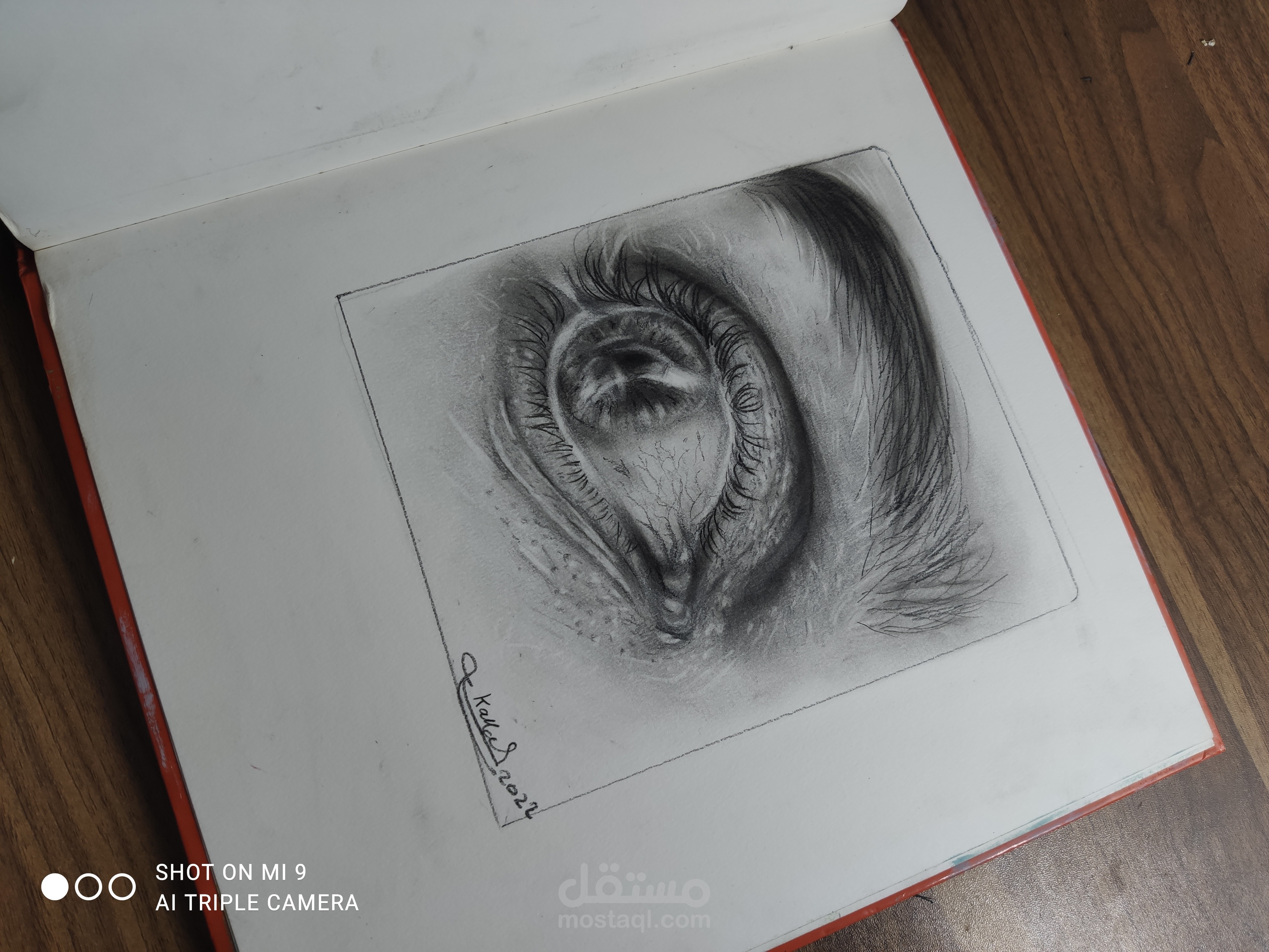 Drawings | مستقل