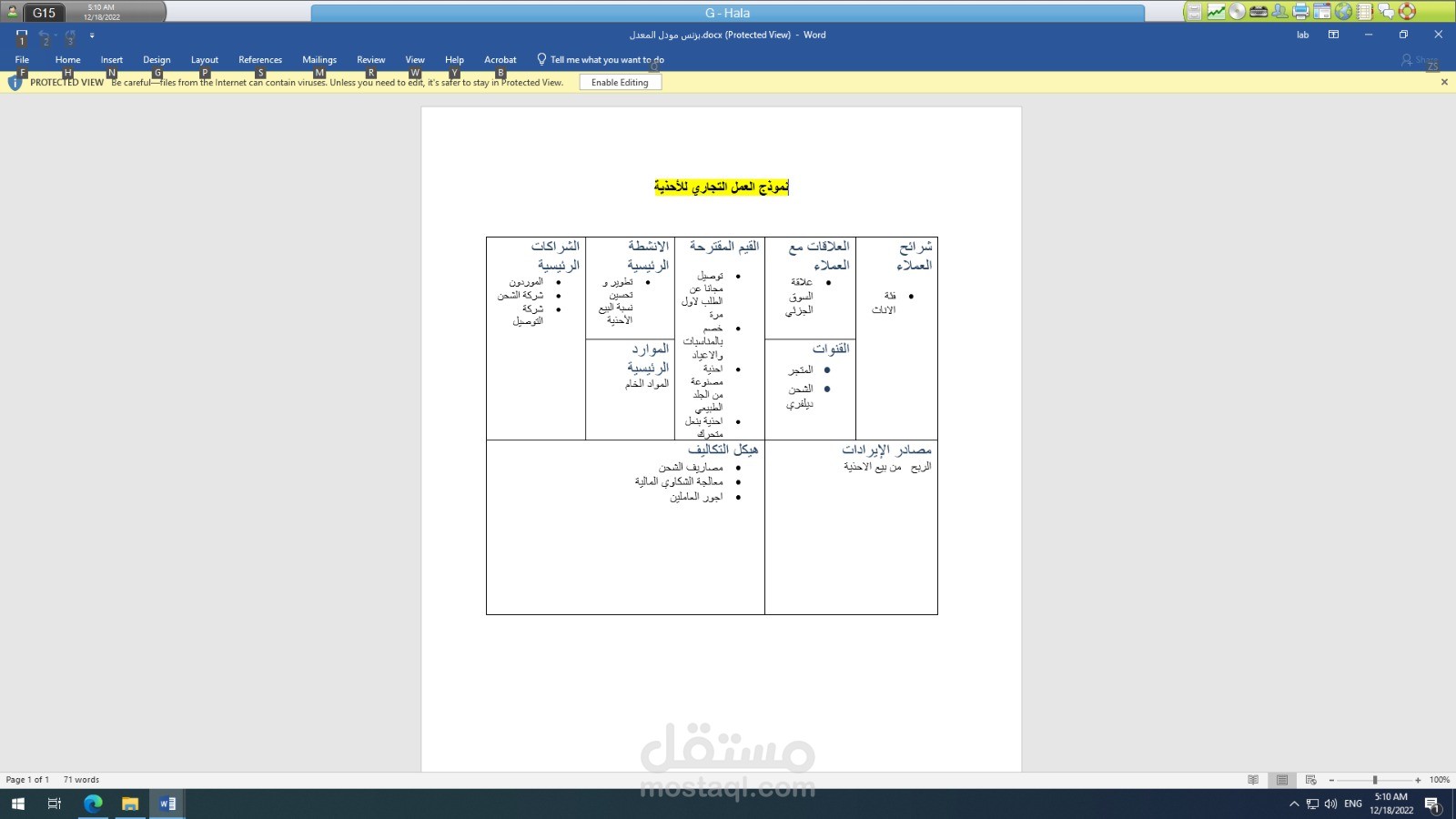 نموذج العمل التجاري  Business Model