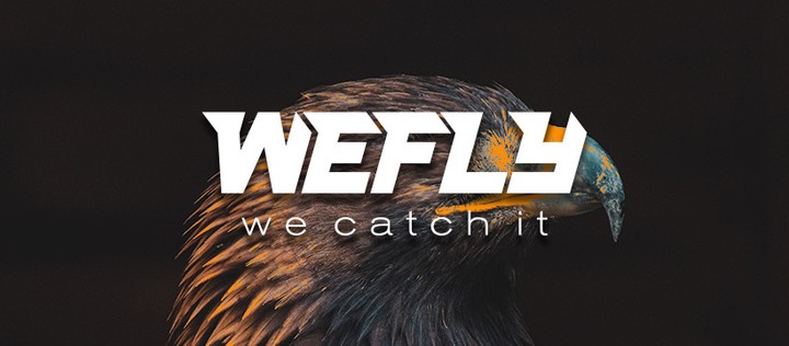 We fly logo