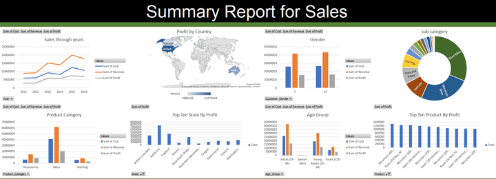 Summary Sales Report For Company In Different Country Through Years By Excel