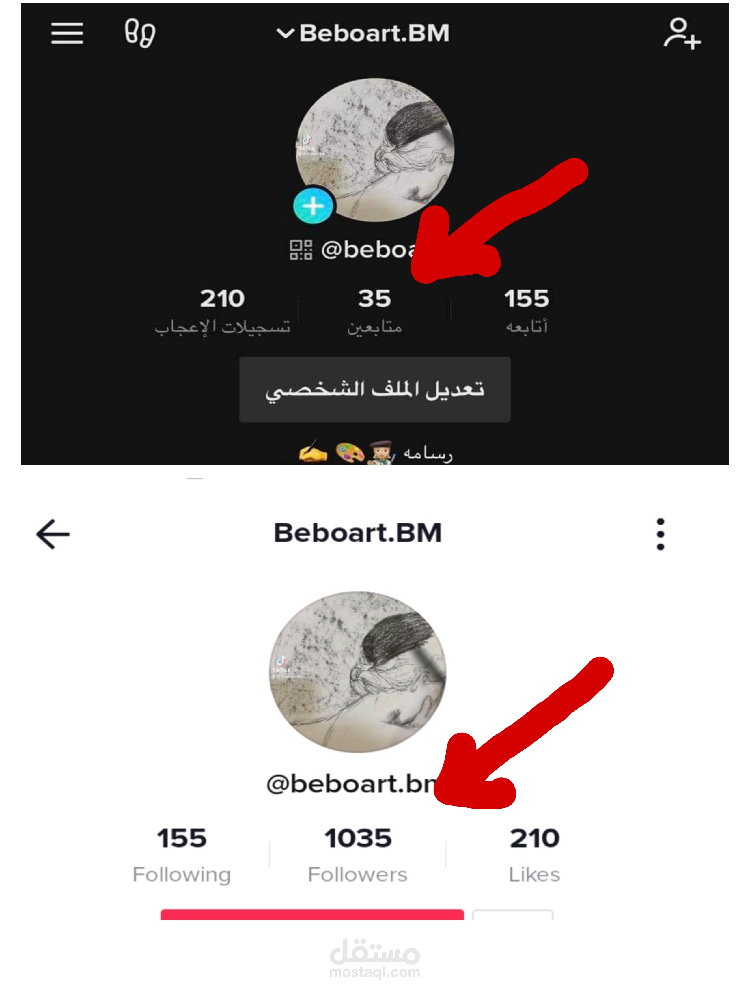 تزويد متابعين تيك توك