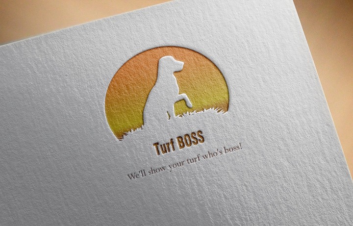 Logo design for Turf Boss