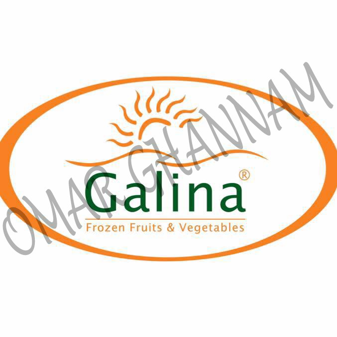 GALINA FOOD