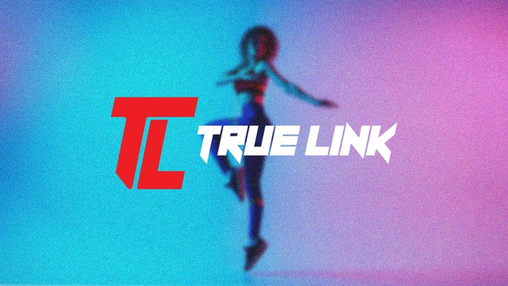 Visual identity true link