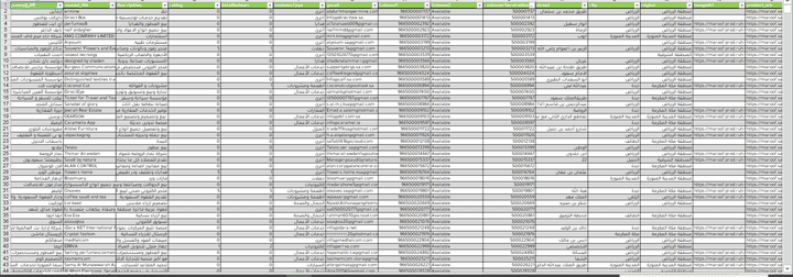 استخراج داتا الشركات السعودية- داتا ضخمة، مرتبة، جاهزة واحترافية