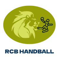 logo design for handball team