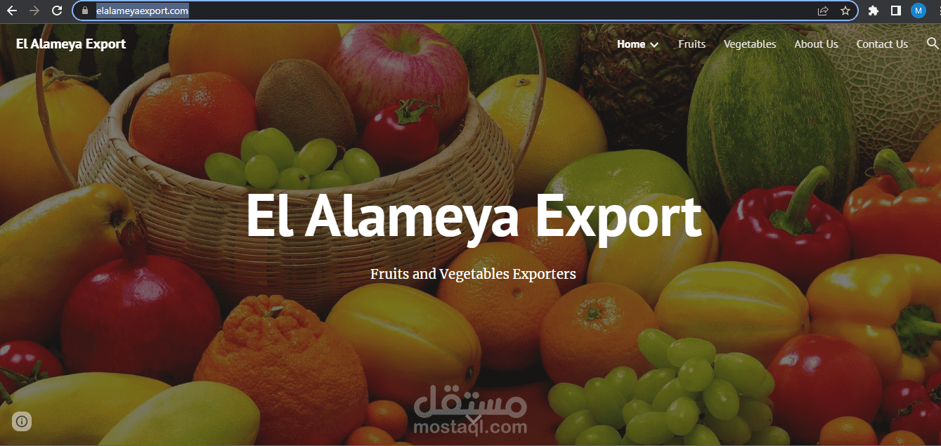 created a website for an Egyptian exporting company