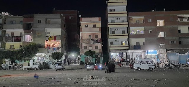قصة البرغوث والدكتور