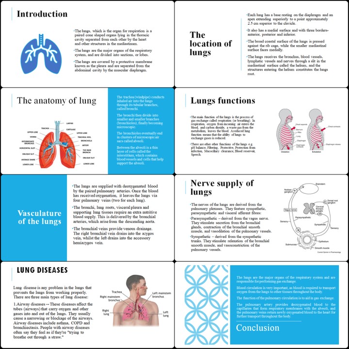PowerPoints presentation صغير بعنوان Overview of the lungs.
