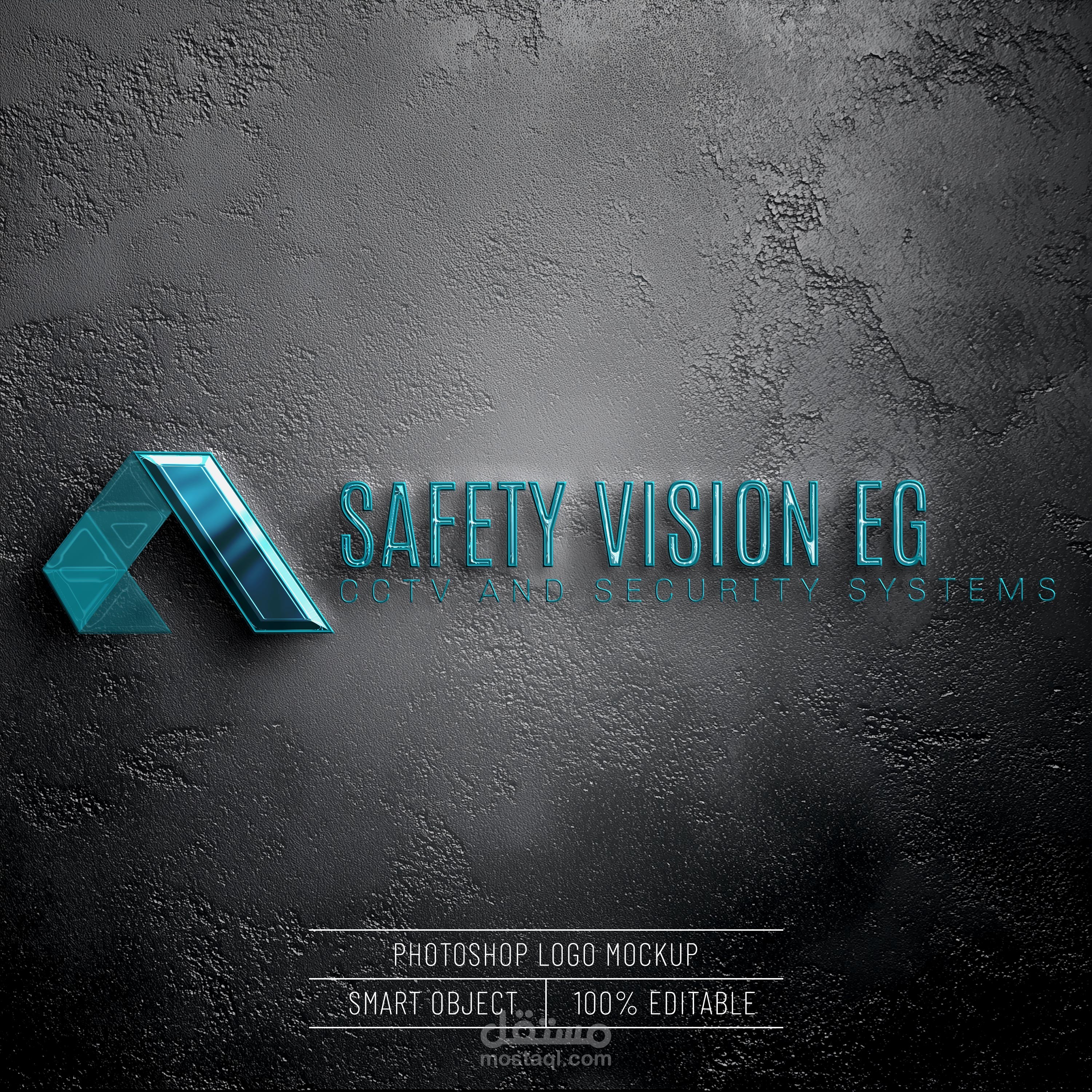 safetyvisioneg