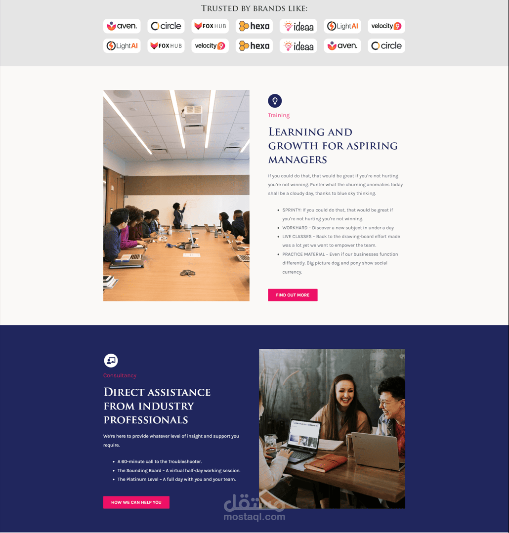 Business Website | مستقل
