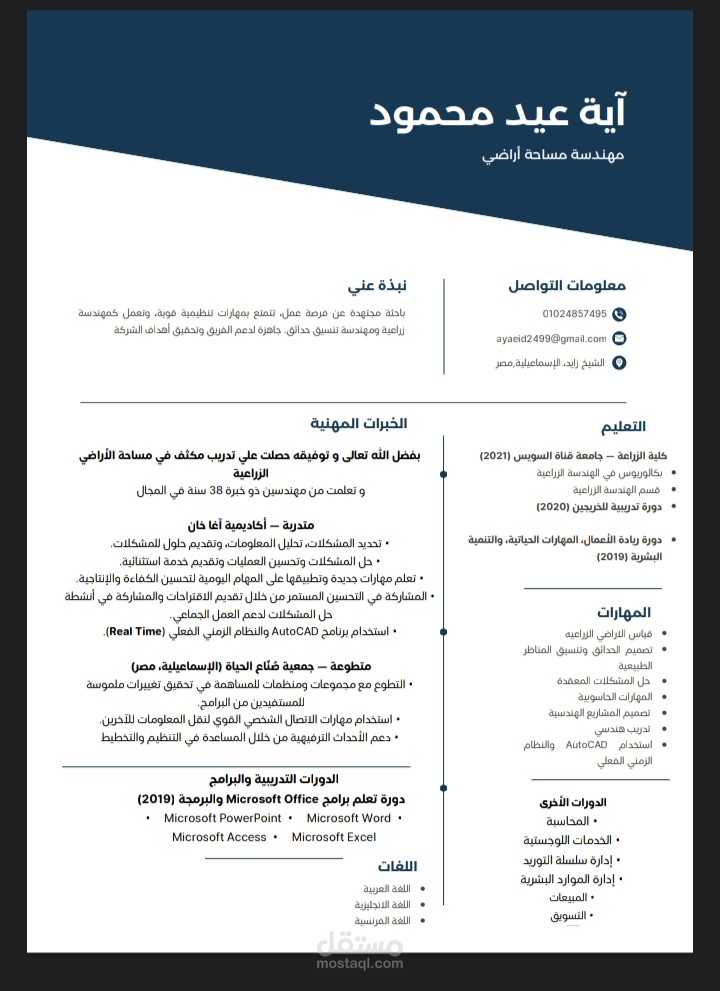 تصميم لسيرة ذاتية باللغة العربية