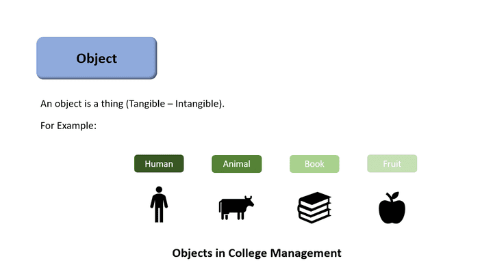 Object-Oriented Programming Introduction