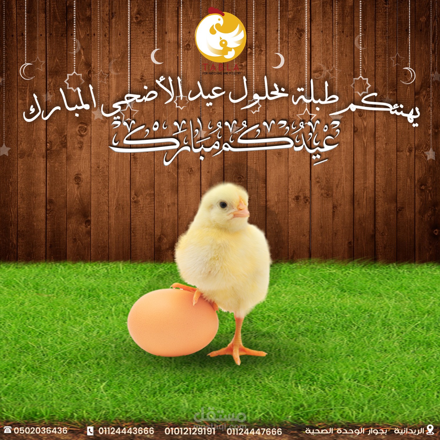 تصميم لشركة دواجن