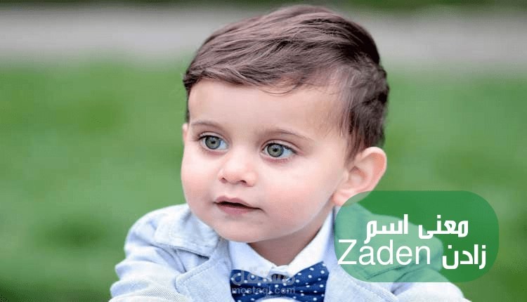 معنى اسم زادن