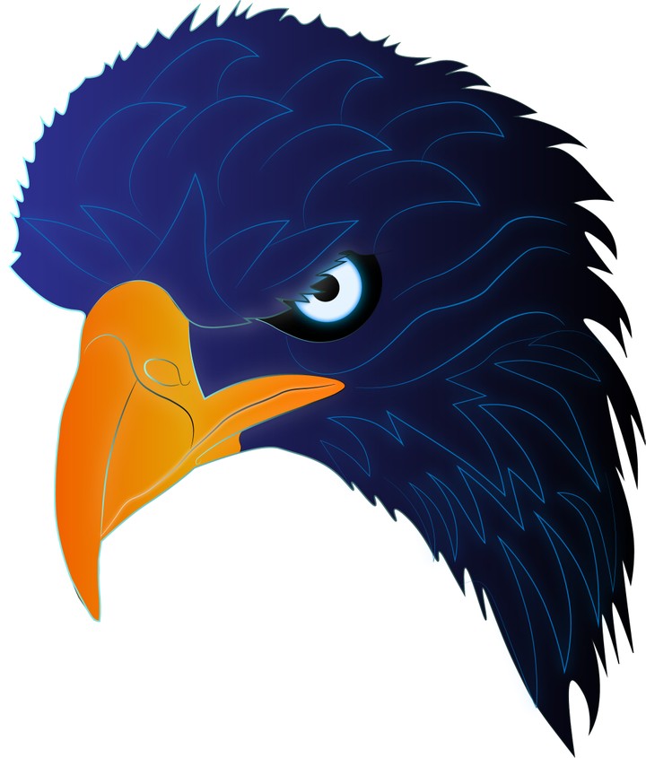 ُ (Logo Design)Eagle