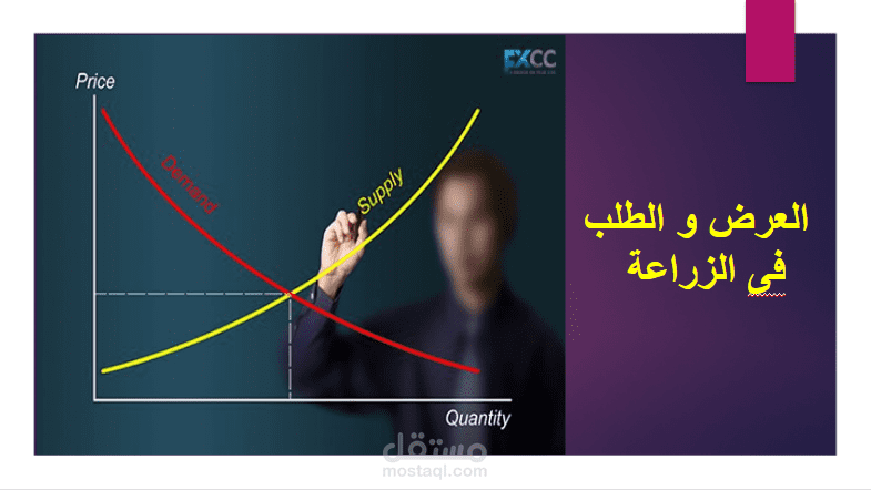 العرض والطلب في الزراعة والعوامل المؤثرة على كليهما