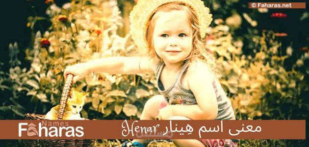 معنى اسم هنيار