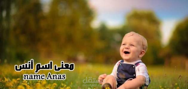معنى انس