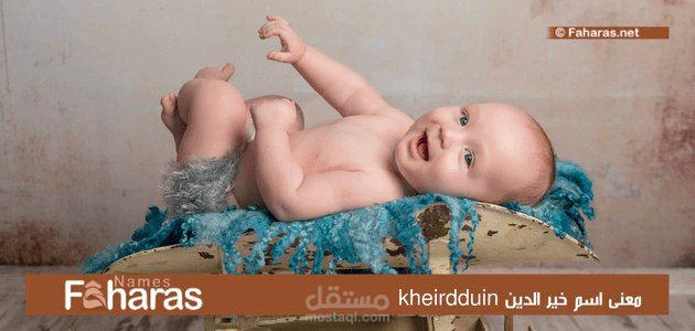 معنى خير الدين