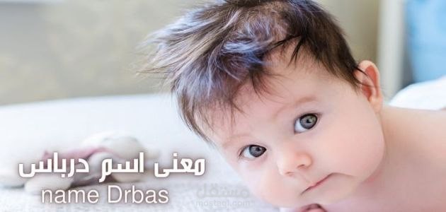 معنى درباس