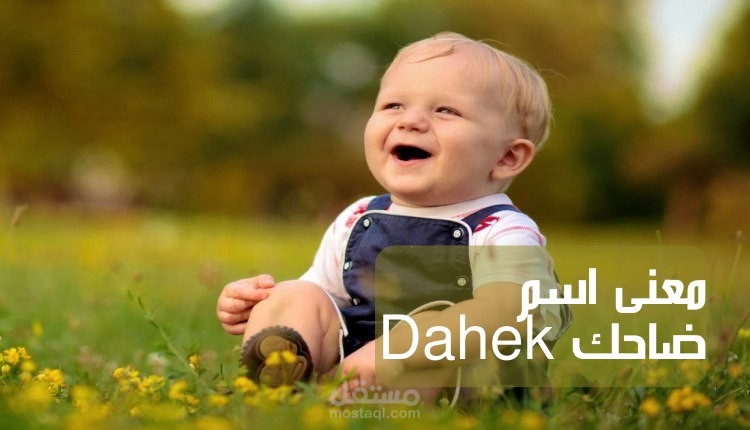معنى ضاحم