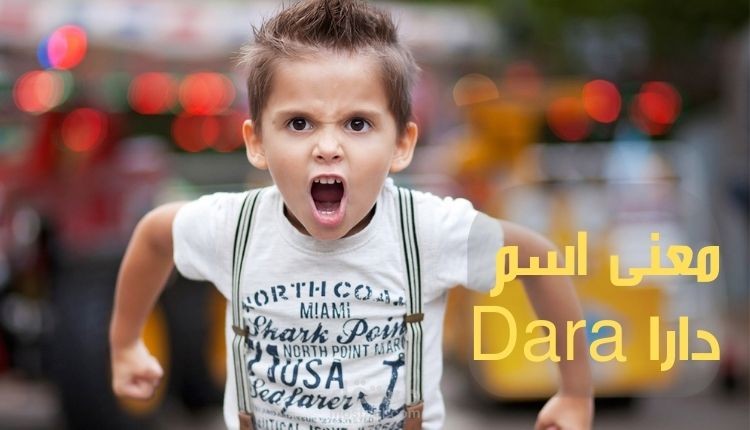 معنى دارا