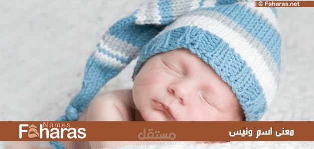 معنى ونيس
