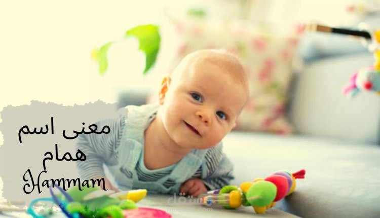معنى همام
