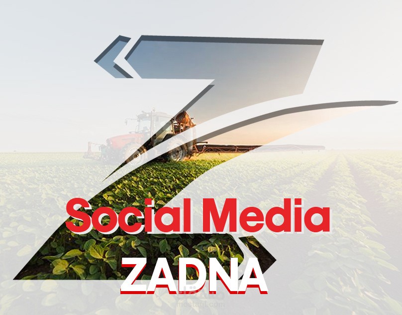 ZANA Social media posters