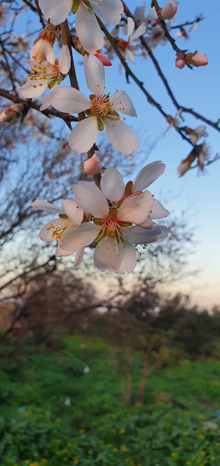 تصوير مناظر طبيعية خلابة