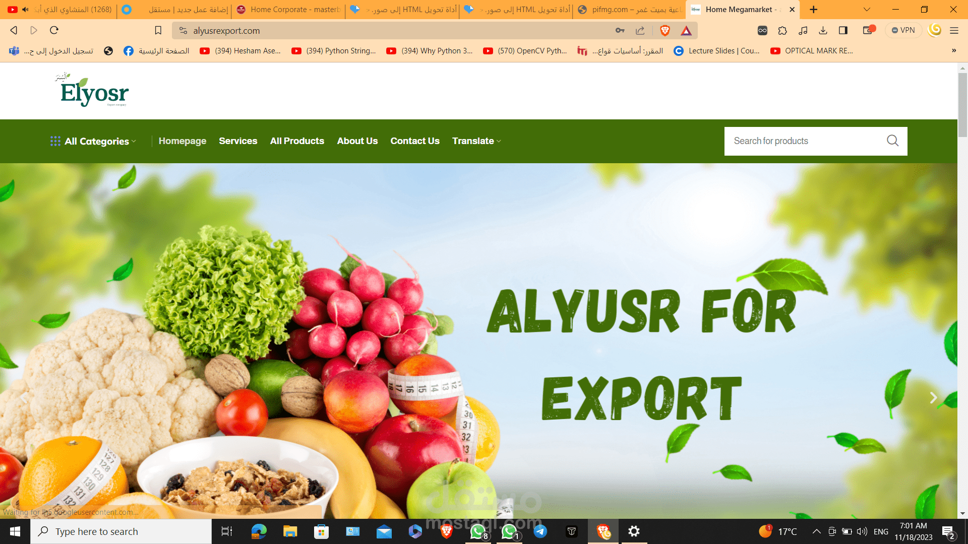 alyusrexport_com