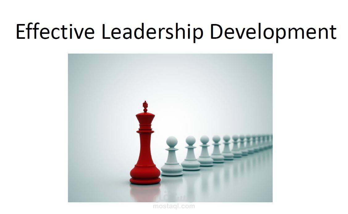 استشارات وماتريال عن تنمية القيادة الفعالة - Effective Leadership Development