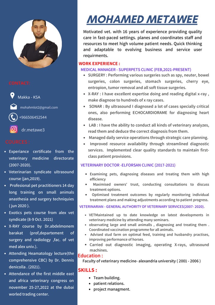 professional resume ( C.V )