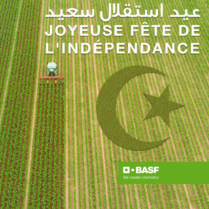 تصميم بوست عيد استقلال للجزائر - BASF