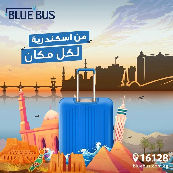 Bluebus Social Media