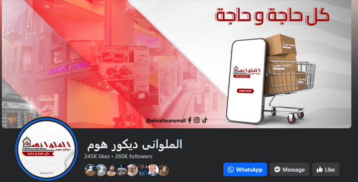 مسئول التسويق وكاتب المحتوى والمسئول عن ادارة فريق التصميمات وادارة فريق الاعلانات لدى مول الملواني