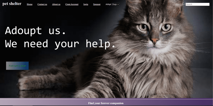 petshelter project using only HTML and css