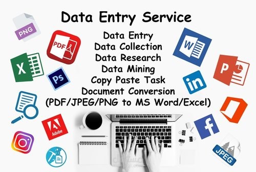 مدخل بيانات Data Entry