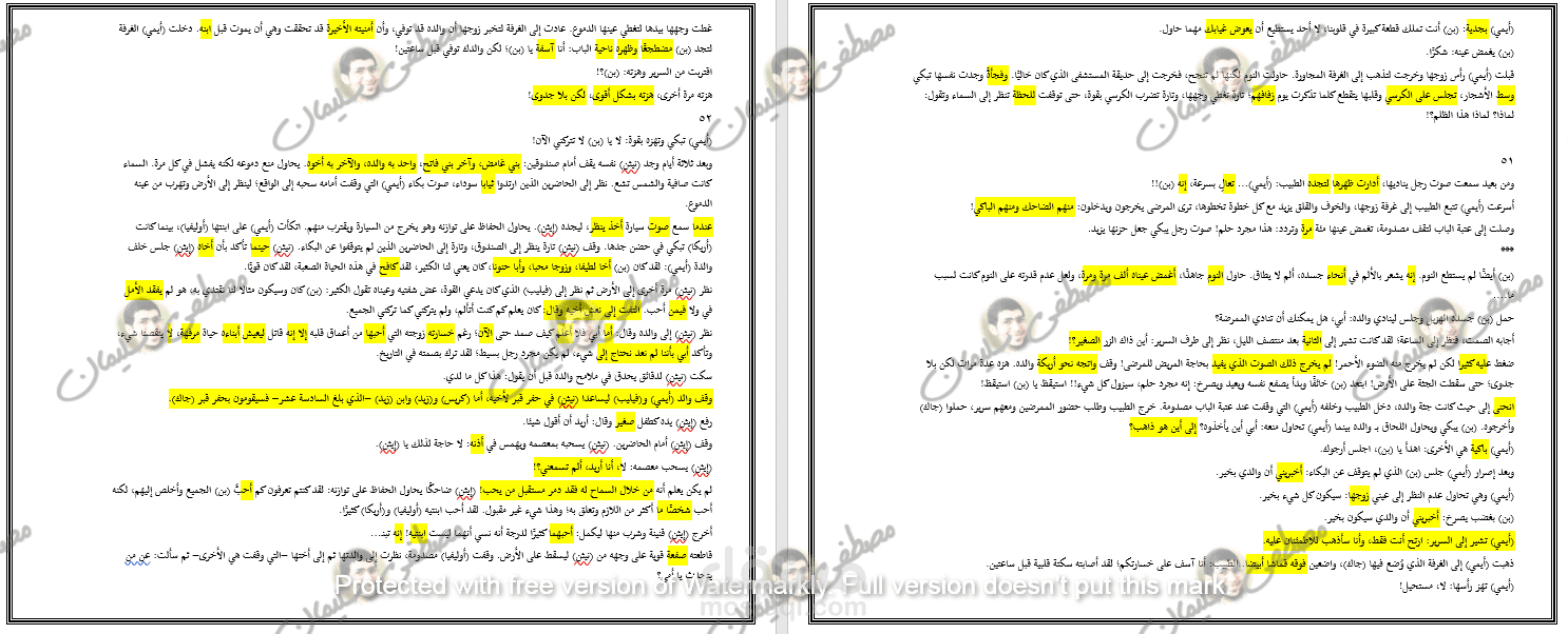 تدقيق لغوي لرواية