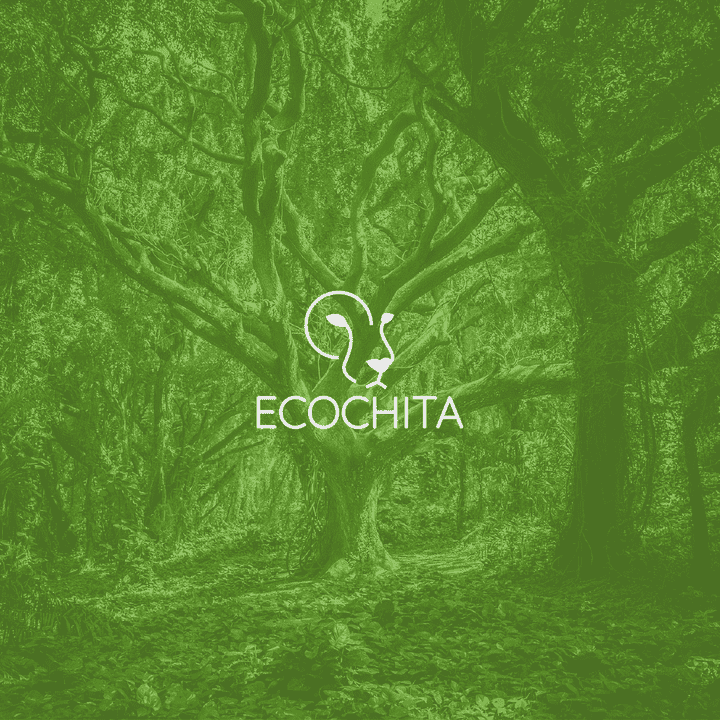 Ecochita - Logo & Brand identity