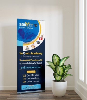 Soqvet company rollup design