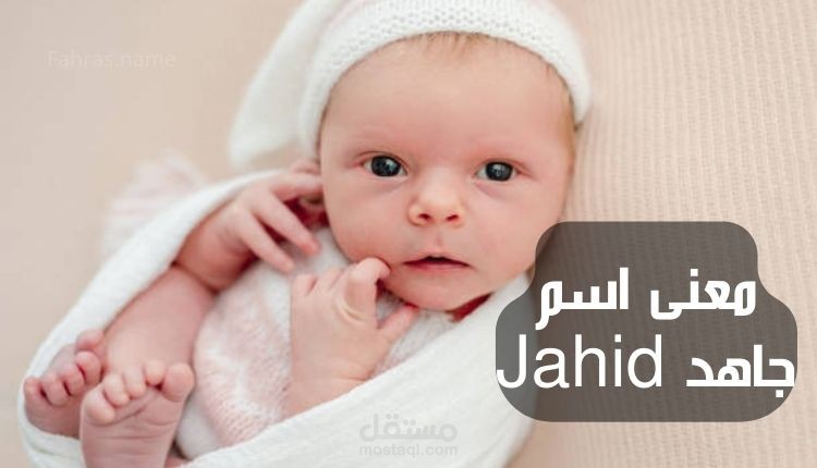معنى جاهد