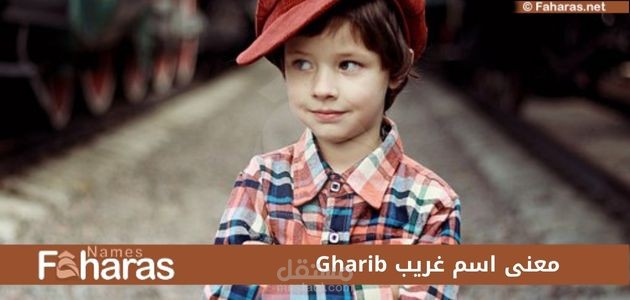 معنى غريب