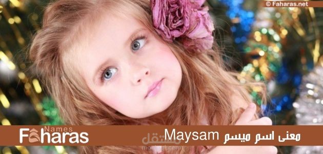 معنى ميسم