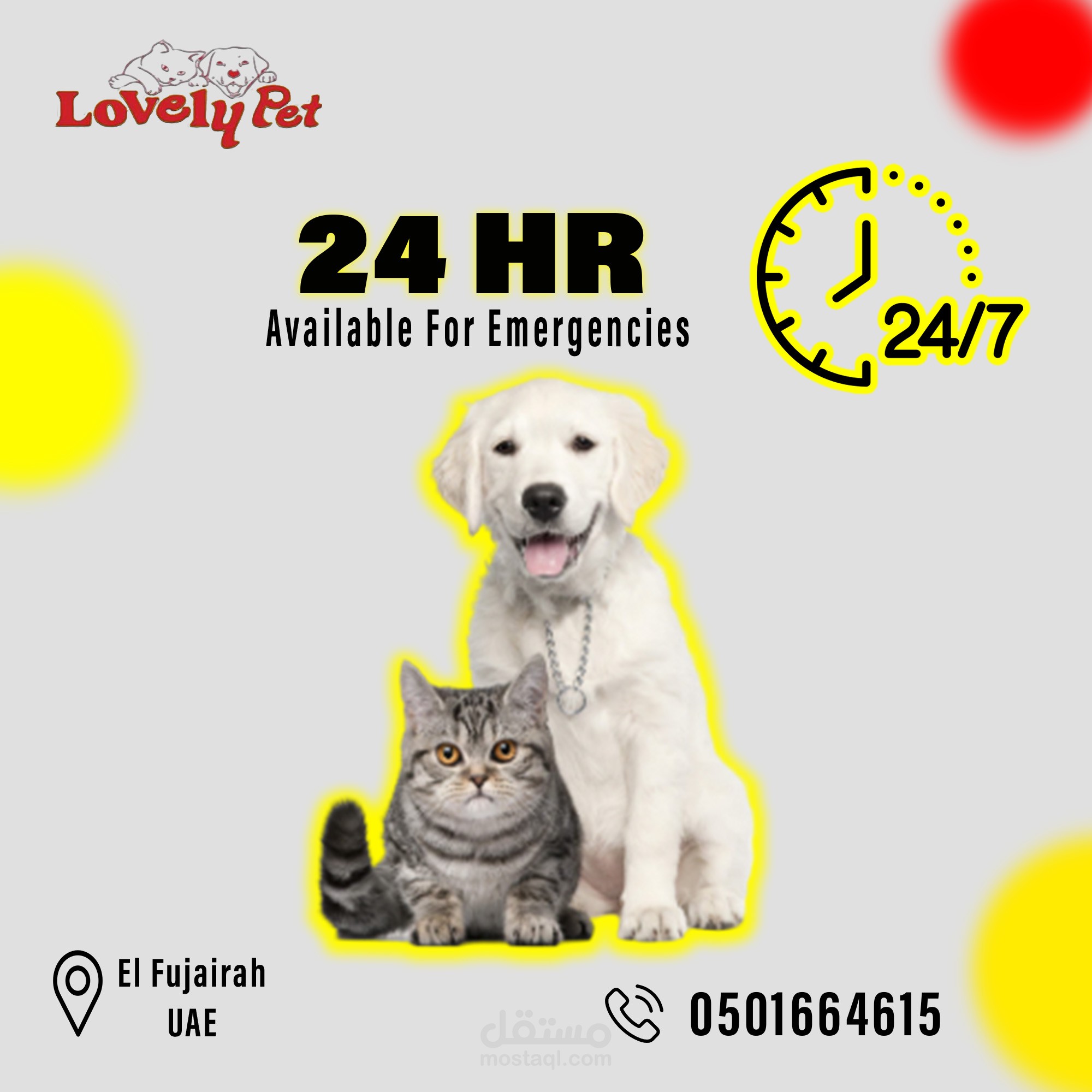 بوستر انستجرام لعيادة lovely pet في الامارات