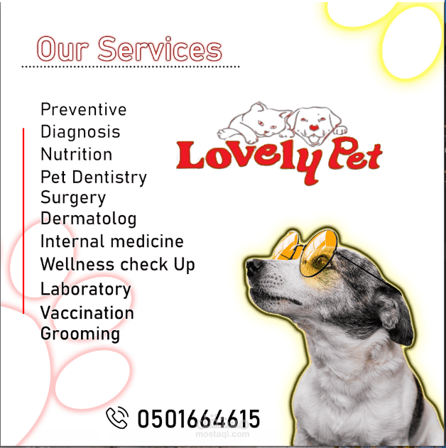 بوستر انستجرام لعيادة lovely pet في الامارات