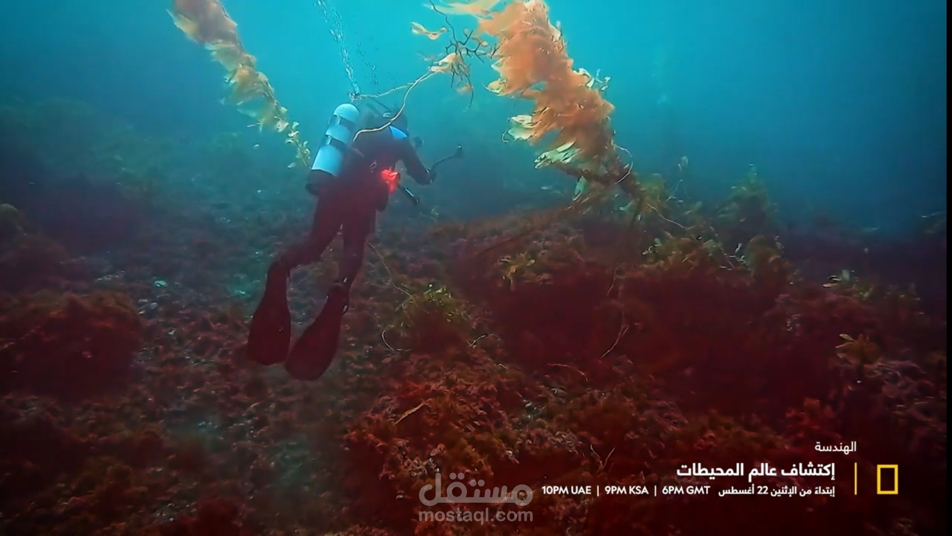 برومو برنامج اكتشاف عالم المحيطات
