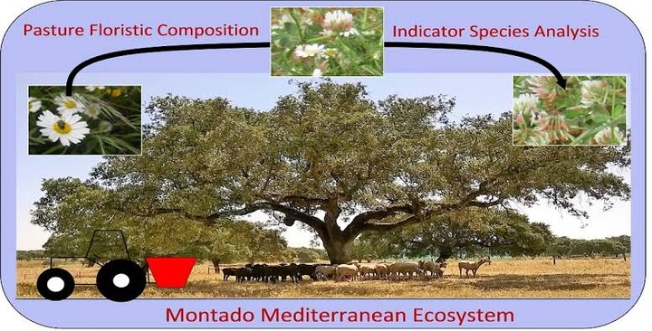 Floristic composition بوربوينت عن